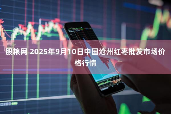 股粮网 2025年9月10日中国沧州红枣批发市场价格行情